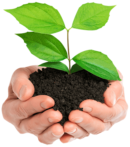 high-quality BIO-Compost soils